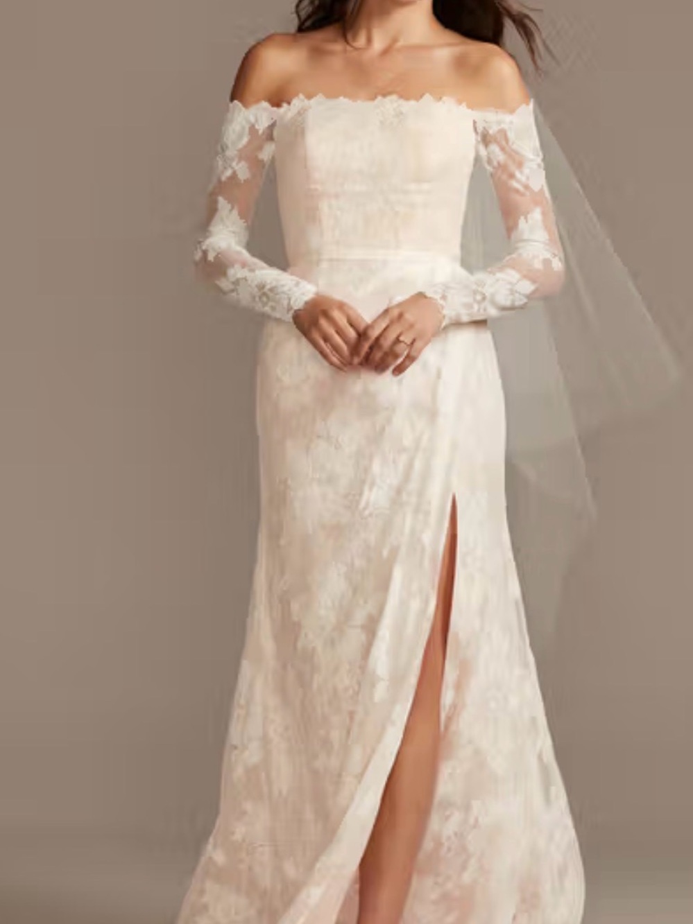 David's Bridal Off-Shoulder Lace Wedding Gown in Ivory